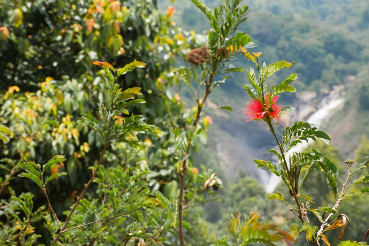 Aranyaka Resorts Munnar Ngoại thất bức ảnh