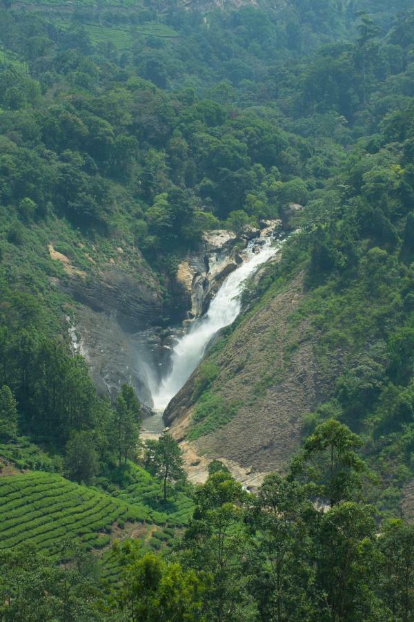 Aranyaka Resorts Munnar Ngoại thất bức ảnh